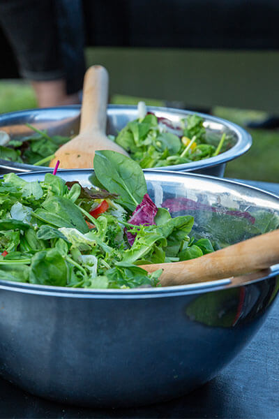 Salad Bowls
